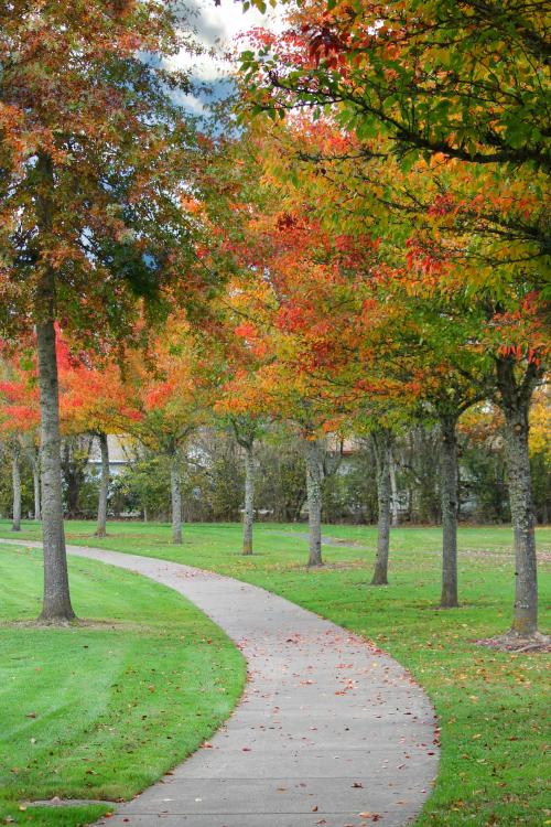 Discovery Meadows Community Park | McMinnville Oregon